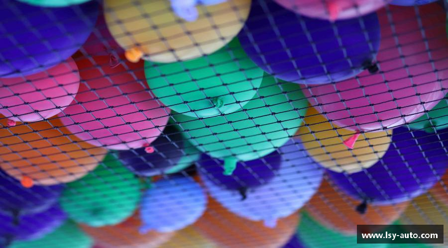 拥抱青春，释放活力！